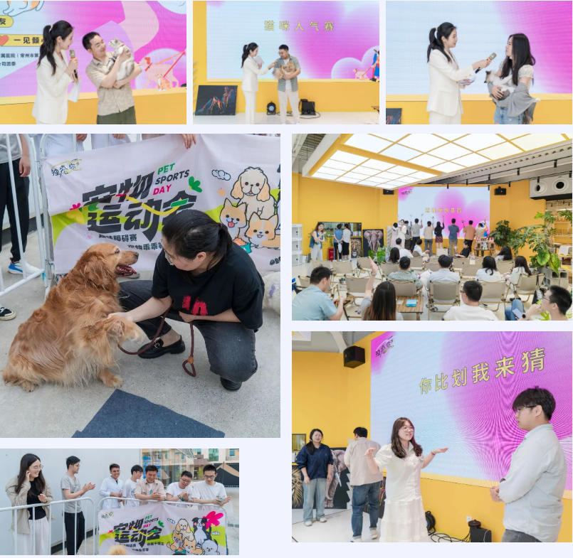 以宠会友 一见倾心 | 打造青年轻松社交「心」模式