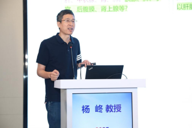 宁波市第二医院杨峂教授：高强度聚焦超声消融技术正在成为肿瘤消融的核心技术之一