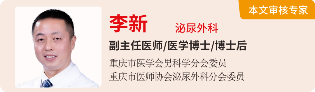 评分超 8 分！史诗级灾难片《肾结石的夏天》即将震撼上映