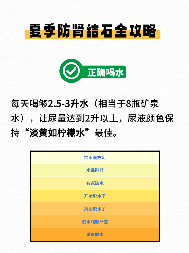 评分超 8 分！史诗级灾难片《肾结石的夏天》即将震撼上映