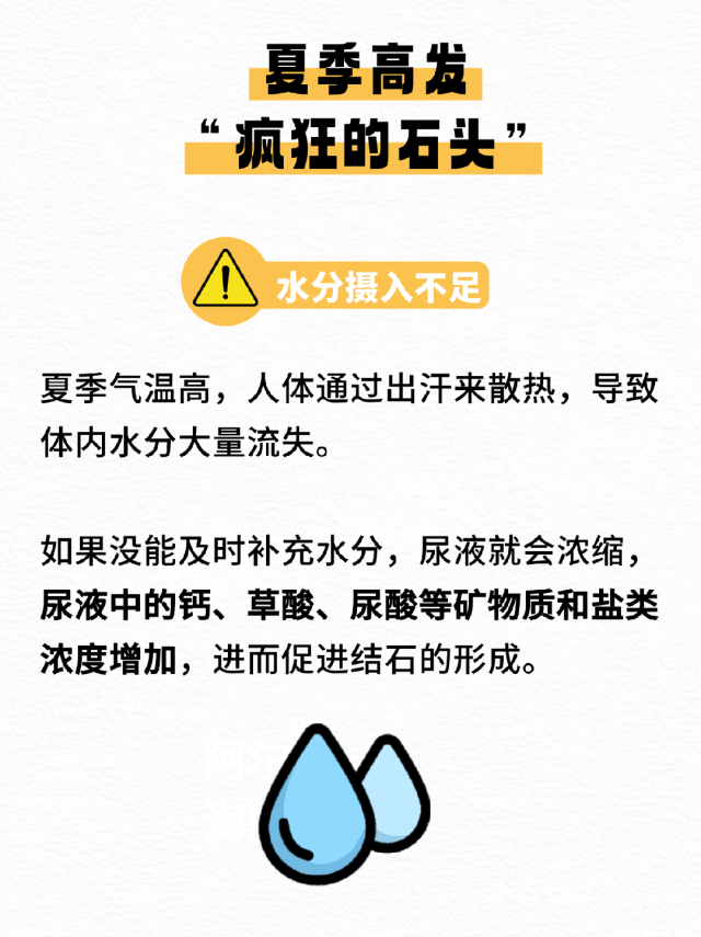 评分超 8 分！史诗级灾难片《肾结石的夏天》即将震撼上映