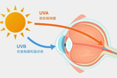 夏天这件重要的事，很多人都忽视了（不是涂防晒）