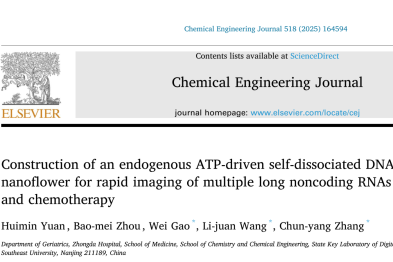 这项研究成果，为多种长链非编码 RNA 检测和成像提供了新方法