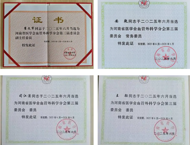 郑大五附院在河南省医学会血管外科学分会换届大会中再获重任,彰显专业实力与学科引领作用