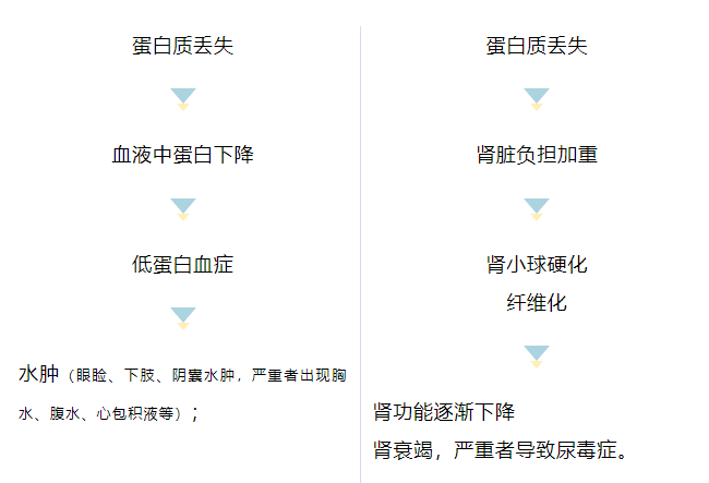 来自肾脏的「求救信号」，您重视它了么？