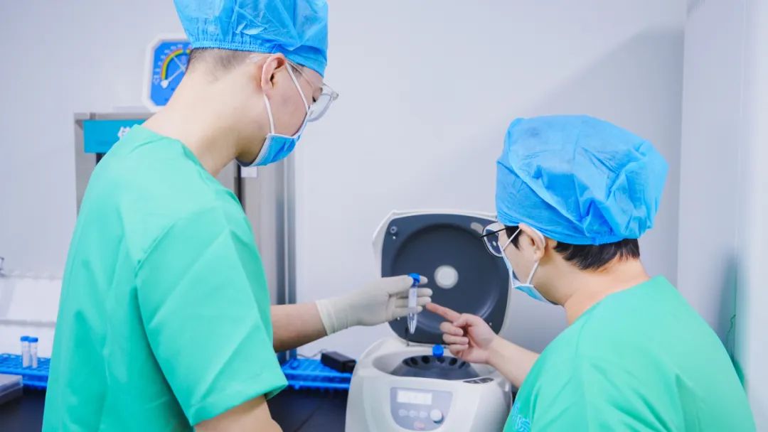 胚胎冷冻：生命的 「时光胶囊」 是如何运作的？