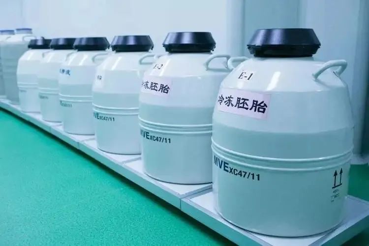 胚胎冷冻：生命的 「时光胶囊」 是如何运作的？