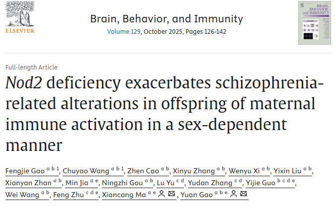肠脑轴机制研究再深入：马现仓、高媛团队破译精神分裂症遗传-环境互作新机制