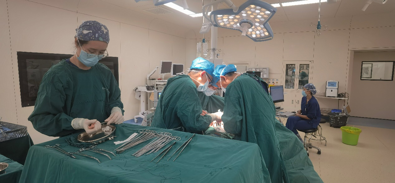 破局复杂食管瘘:成都京东方医院胸外科完成高难度二次修补术