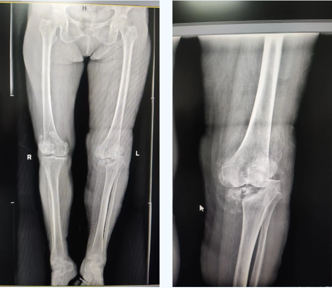 6182637412050608391.png?file=672506434