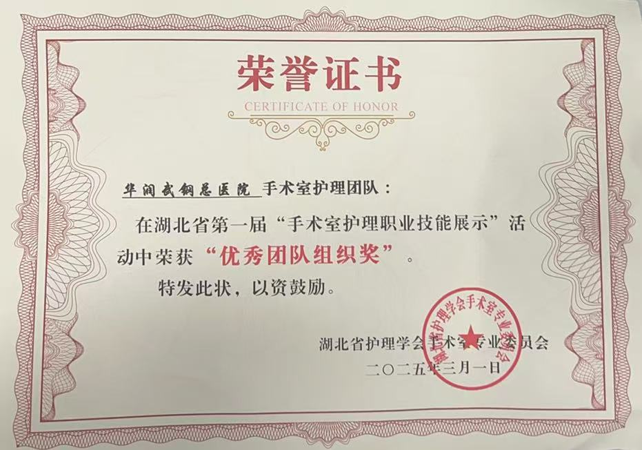 华润武钢总医院手术室护理团队荣获全省专业技能大赛「优秀团队组织奖」