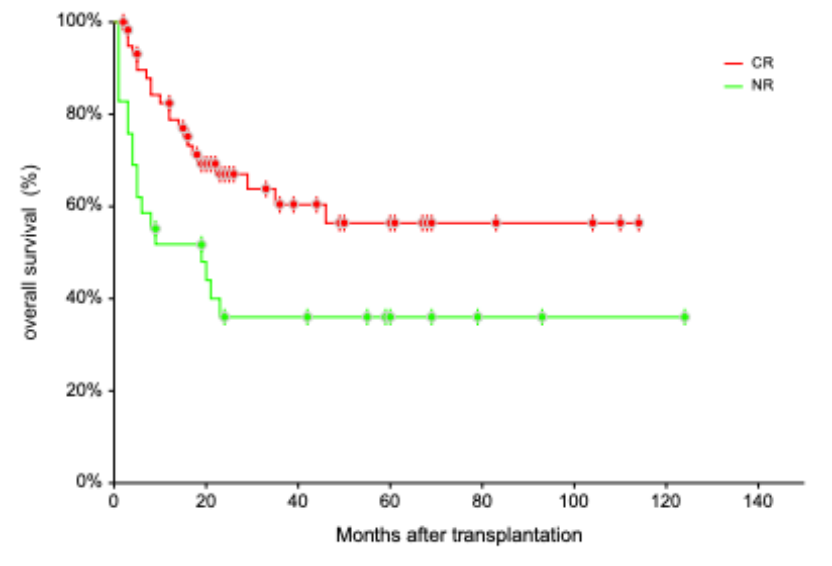 EHA2025｜曹星玉主任、马薇医生：单中心回顾性分析异基因造血干细胞移植治疗急性髓系白血伴有 MLL::AF6 融合基因阳性的预后