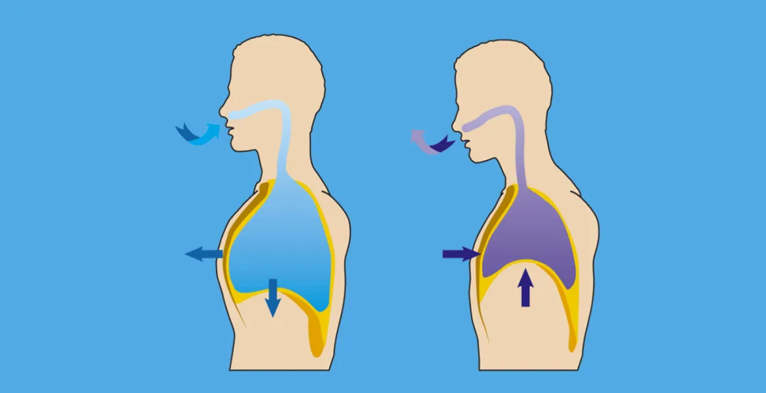 每天腹式呼吸 5 分钟，吃好睡好心情好