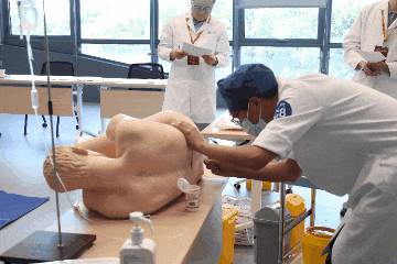 喜报！浙中医大三院代表队斩获浙江省针灸推拿临床技能及教学能力竞赛团体一等奖