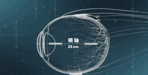 央视首部眼科纪录片《大开眼界》,温医大眼视光为孩子们送上免费护眼指南,宝妈宝爸速存