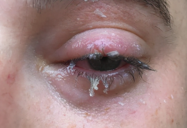 2912991488621202491.png?file=679455577