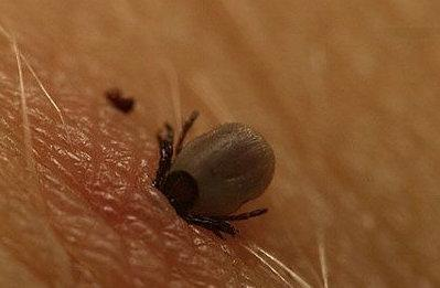 入夏高发！这些预防和处理一定要知道