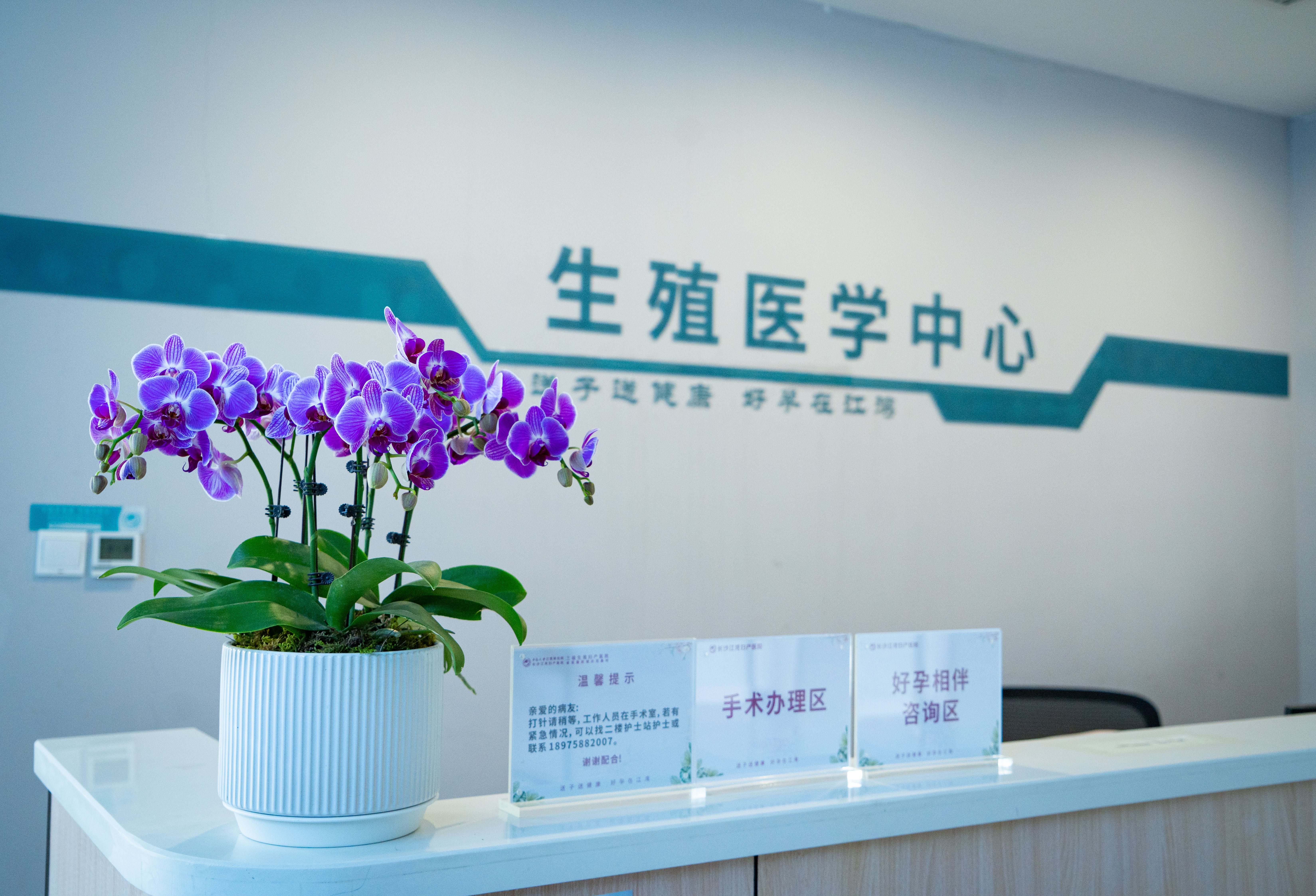 江湾微课堂：胚胎也要「高考」！如何筛选「优等生」？