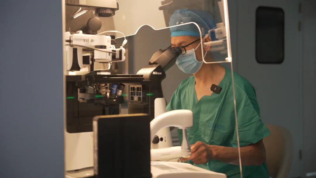 江湾微课堂：胚胎也要「高考」！如何筛选「优等生」？