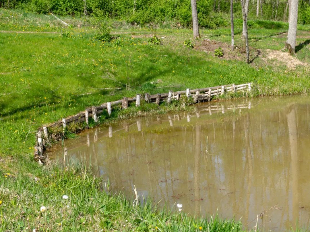 合肥京东方医院科普：两幼童相继感染「食脑虫」病情危急！和天热玩水有关？如何防范？