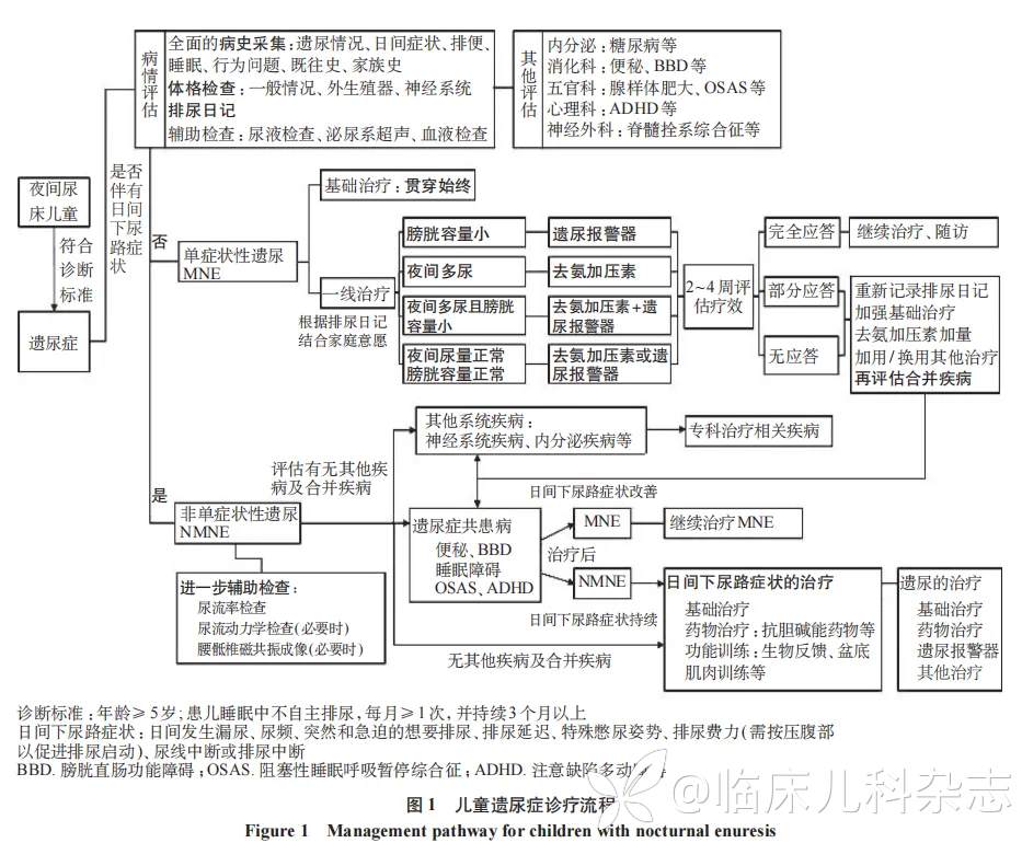 中国儿童遗尿症疾病管理专家共识（2025 年）