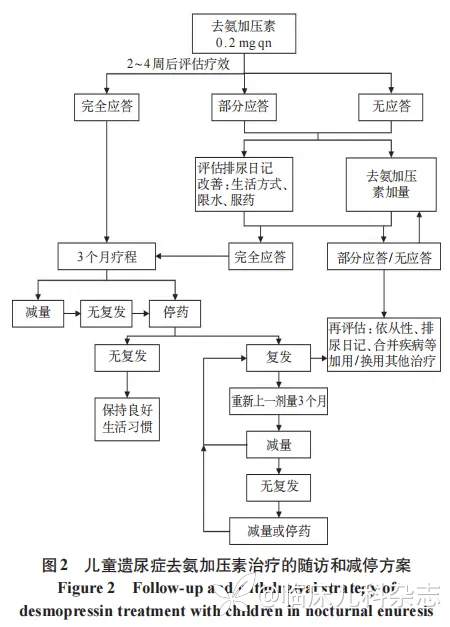 中国儿童遗尿症疾病管理专家共识（2025 年）