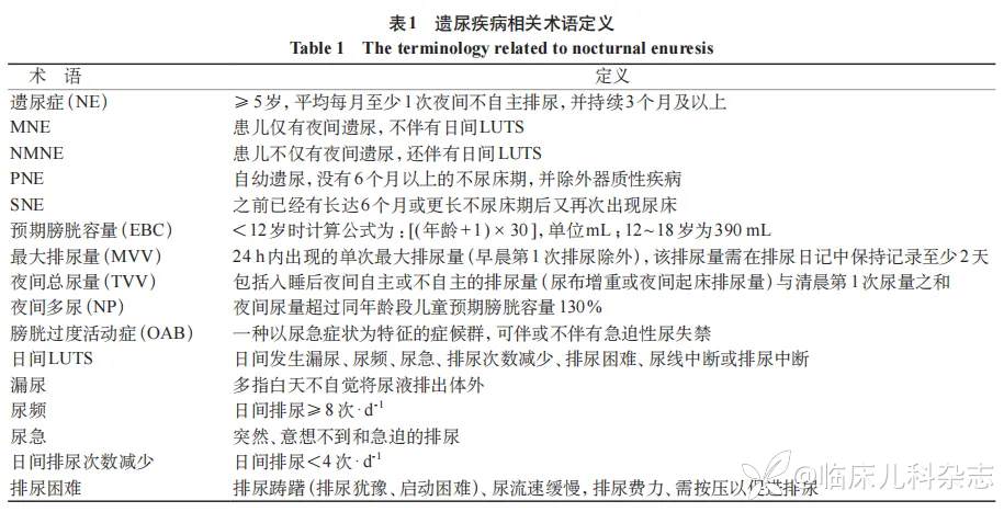 中国儿童遗尿症疾病管理专家共识（2025 年）