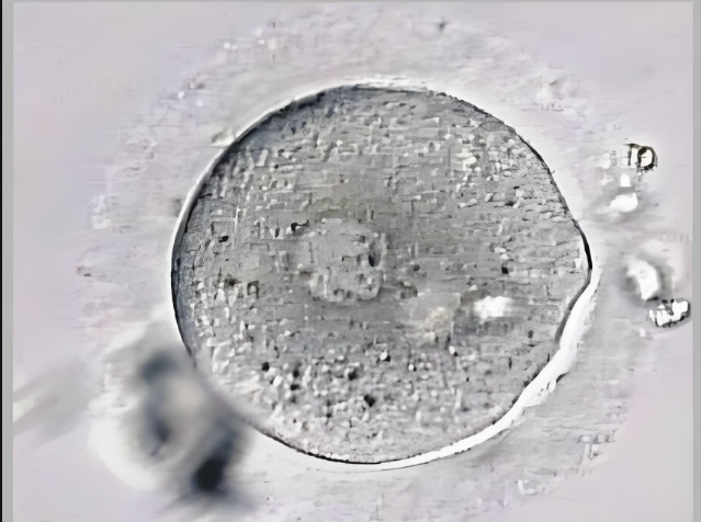 排卵期不是「天天排」,安全期更不是「绝对安全期」!90% 女性都搞错了?