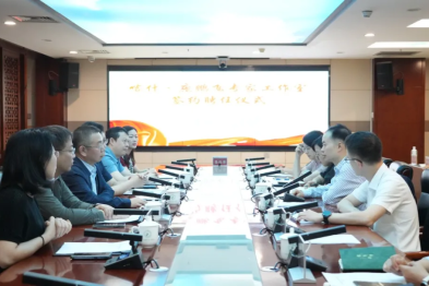 顶尖团队「牵手」边疆医院 喀什・庞鹏飞专家工作室启幕赋能微创介入学科跃升