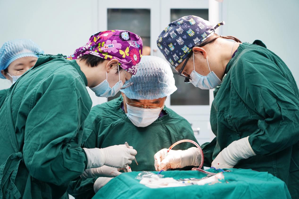 爱尔眼科四川眼科医院王丽娜主任斩获眼整形眼眶病泪道学科临床病例大赛手术类「匠心奖」！