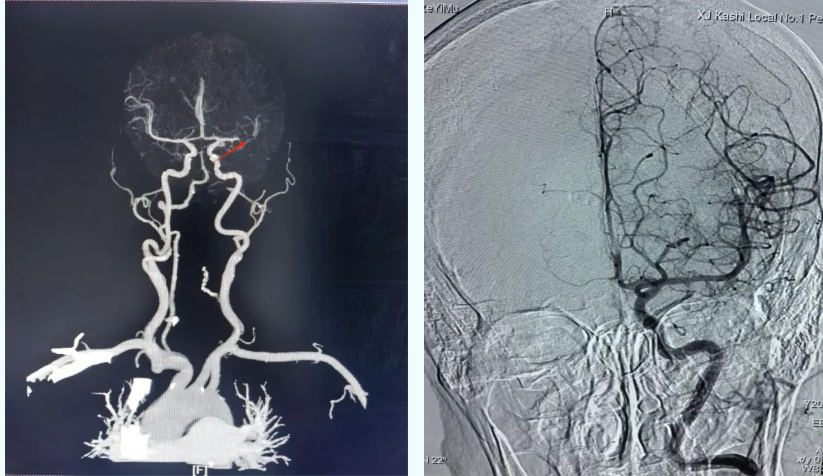 2348716535928668491.png?file=690804692