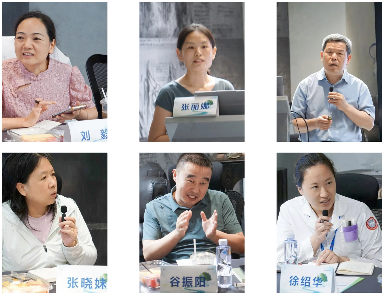 聚焦精准诊疗·共筑感染防线｜陆道培医院举办 IFD 与 CMV 规范化诊疗学术研讨会