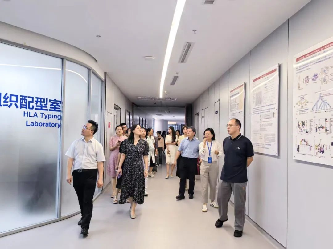 聚焦精准诊疗·共筑感染防线｜陆道培医院举办 IFD 与 CMV 规范化诊疗学术研讨会