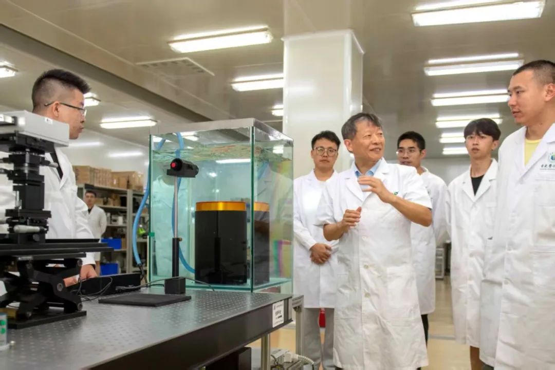四十年磨一剑！这位大学教授，让中国技术领跑世界