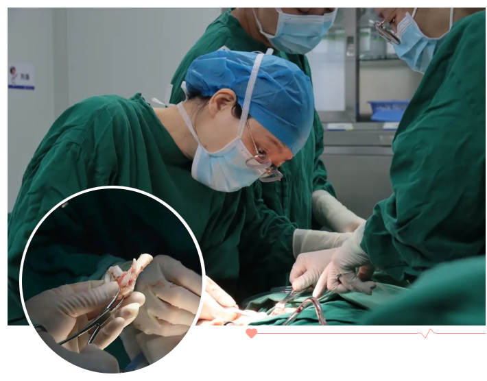 成都仁品耳科团队不断精进——成功为两名小耳畸形患儿再造"新耳朵"！