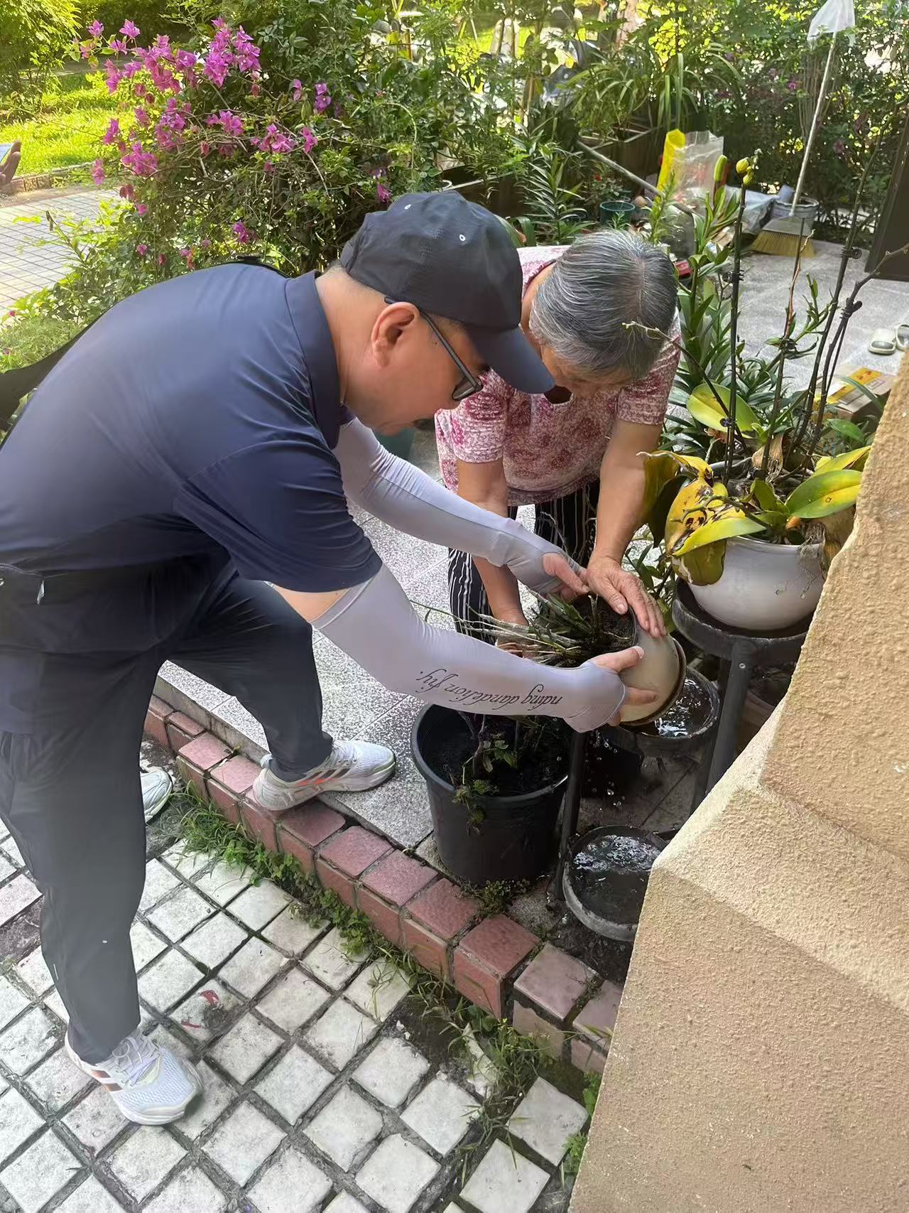 当「热带病」敲响亚热带城市的大门:一场关于气候与文明的警钟