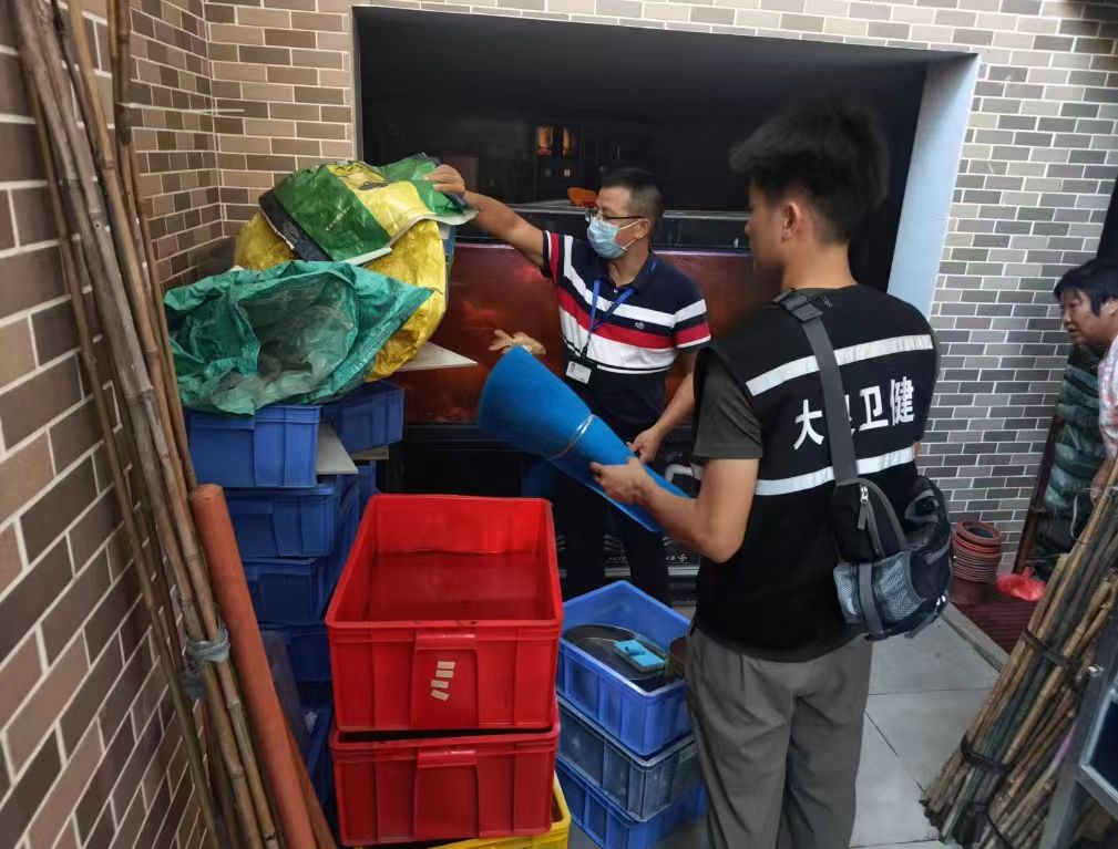 当「热带病」敲响亚热带城市的大门:一场关于气候与文明的警钟