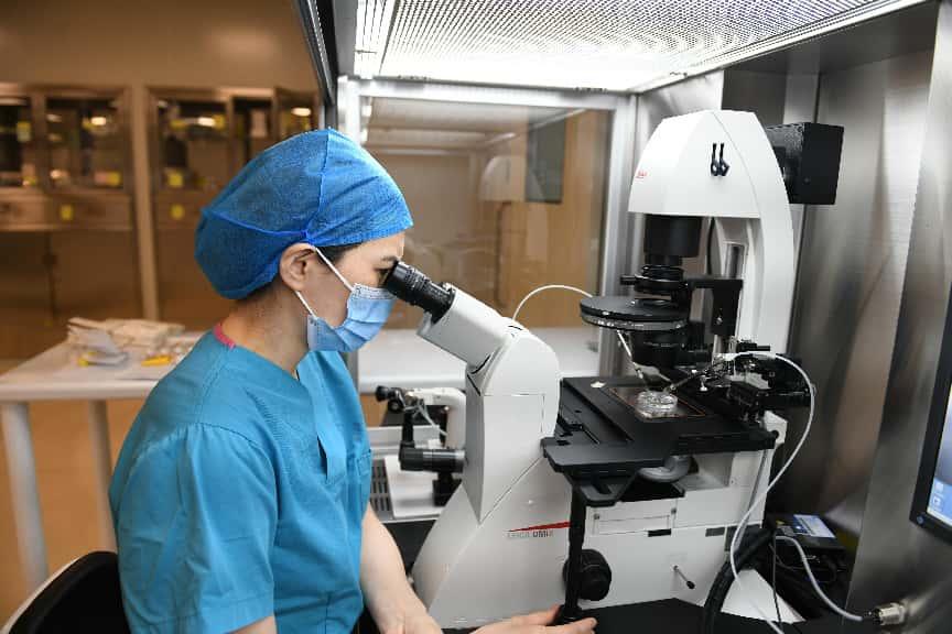 武汉大学人民医院生殖医学团队利用「卵母细胞人工激活术」成功助孕