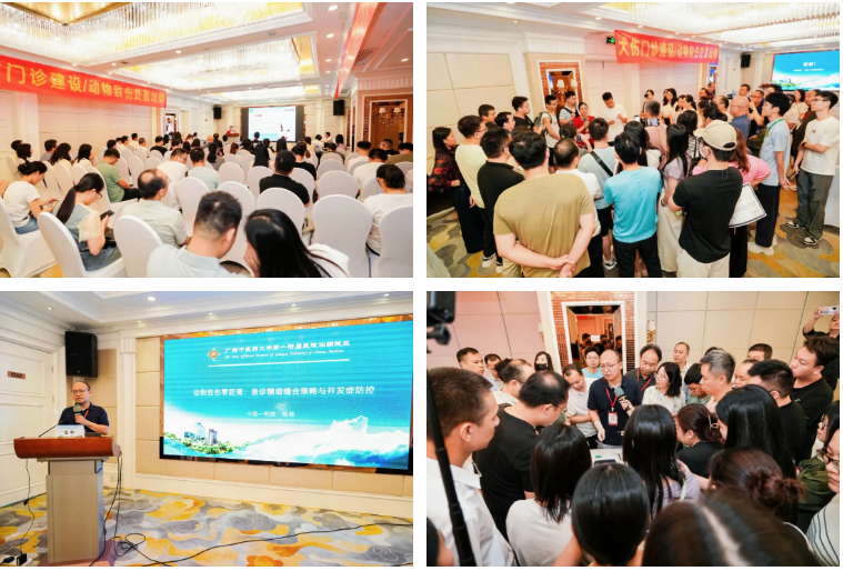 深化中医急诊学术交流 助推学科建设新征程——广西中医药大学一附院成功举办广西中医药学会急诊分会 2025 年学术年会