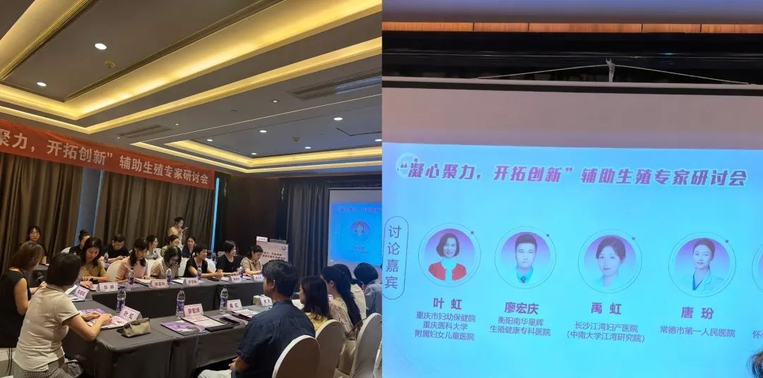 江湾技术院长禹虹教授受邀出席辅助生殖专家研讨会