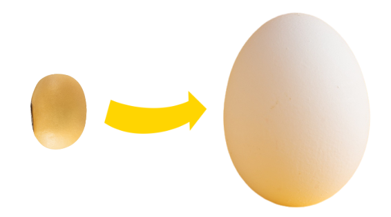 老人私处黄豆大疙瘩不疼不痒，拖成鸡蛋大还渗血，一查竟是癌