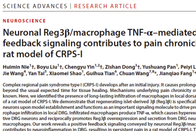 浙中医大三院方剑乔/刘伯一研究团队在慢性痛及针刺镇痛机制研究取得重要进展