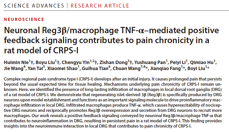 浙中医大三院方剑乔/刘伯一研究团队在慢性痛及针刺镇痛机制研究取得重要进展