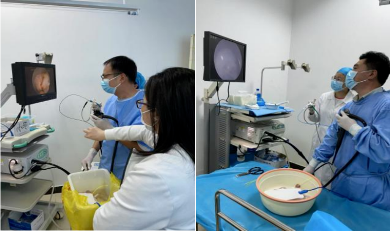 聂家艳:毫米之间的生命守护者