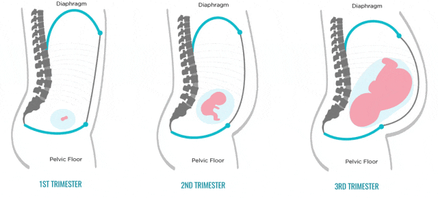 女性最怕这种「松」弛感，「紧」急指南来了 ！