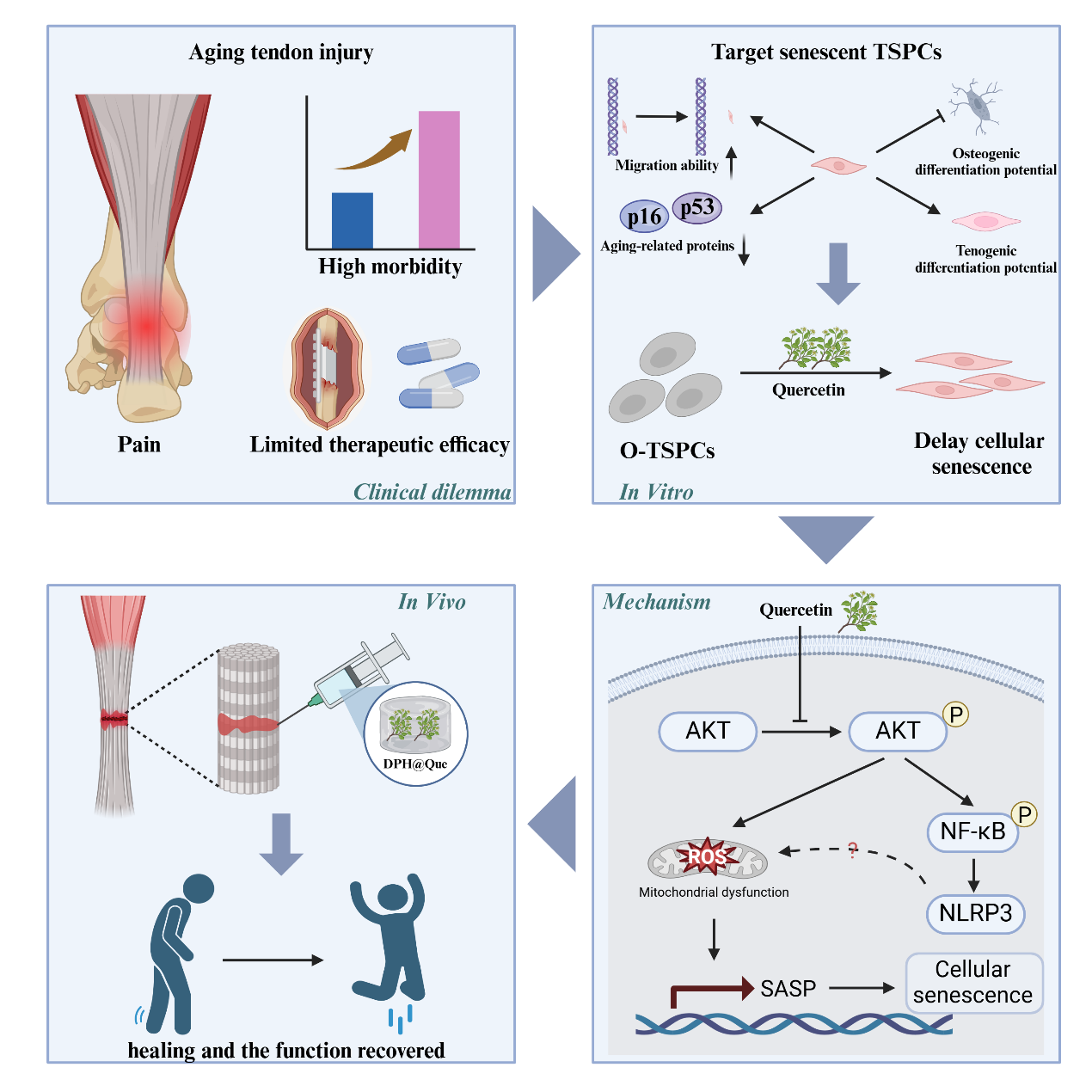 中大医院芮云峰教授、瑞金医院崔文国教授最新研究成果在国际权威期刊发表