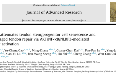 中大医院芮云峰教授、瑞金医院崔文国教授最新研究成果在国际权威期刊发表