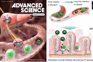 《Advanced Science》封面文章：浙大四院唐喆团队发现纳米刀联合装载 PD-1 抑制剂的微藻生物系统，提高肝癌免疫疗效
