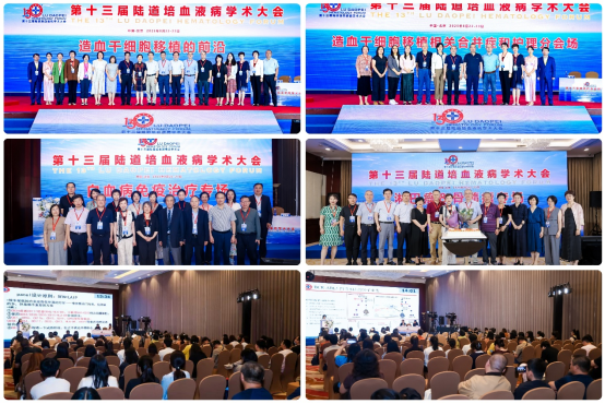 燃犀见洞明，汇智谱新篇：第十三届陆道培血液病学术大会盛大开幕
