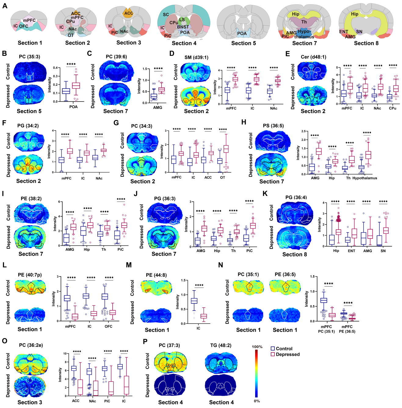 国际快讯 | 抑郁样行为大鼠全脑脂质代谢失衡图谱绘制